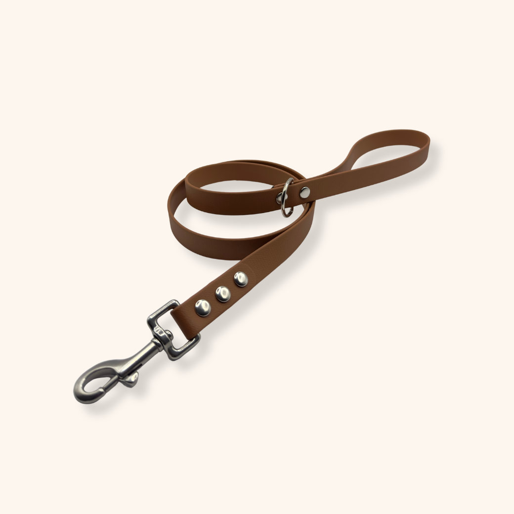 Laisse Biothane® Coyote Marron – Image 2