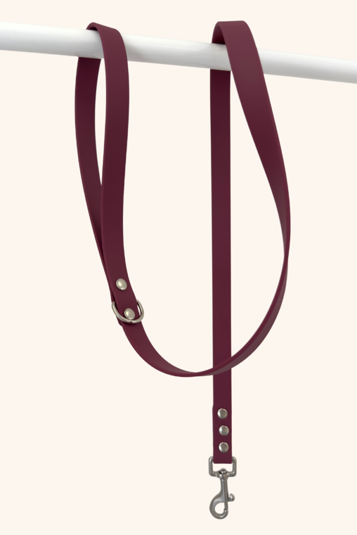 Laisse Biothane® Wine Rouge