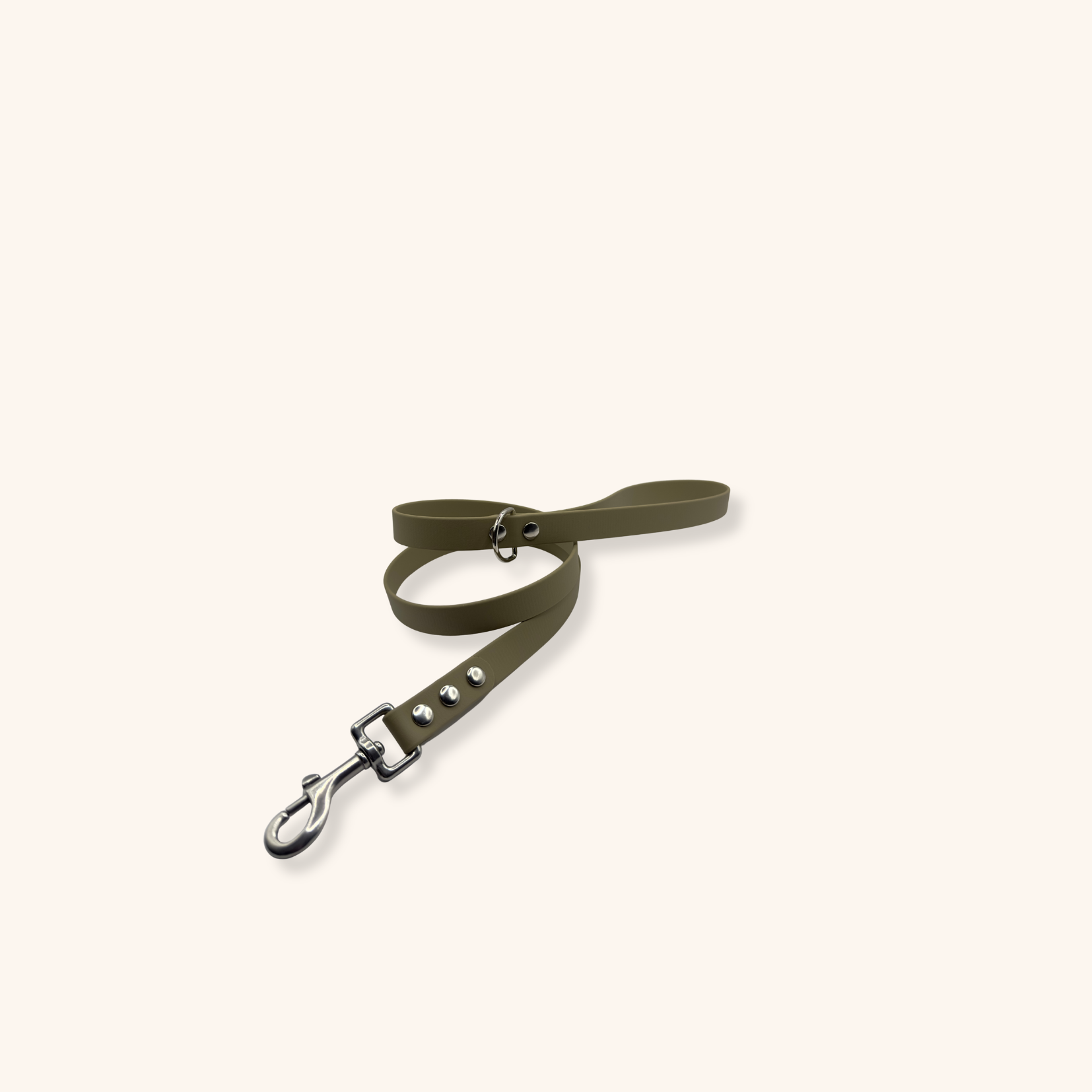 Laisse Biothane® Vert Sauge – Image 2