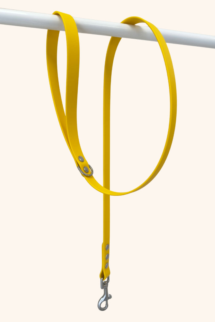 Laisse Biothane®