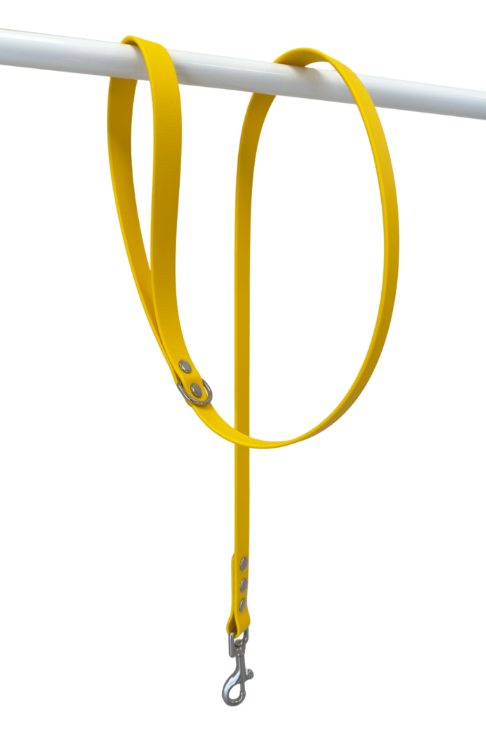 Laisse Biothane® Jaune