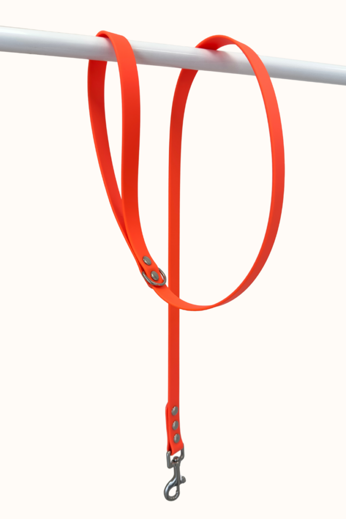 Laisse Biothane® Orange