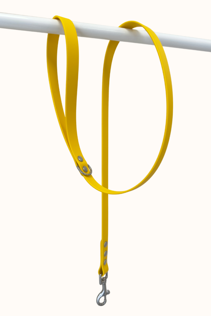 Laisse Biothane® Jaune