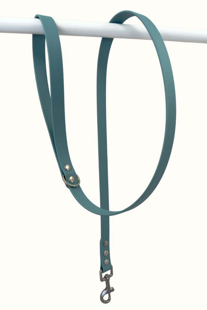 Laisse Biothane® Bleu Turquoise