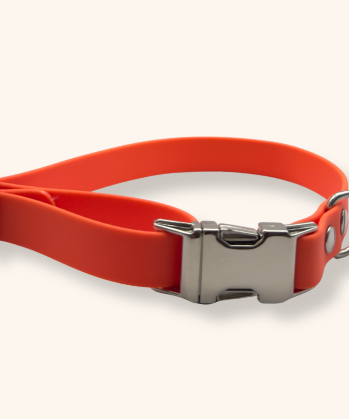Collier Biothane® Orange