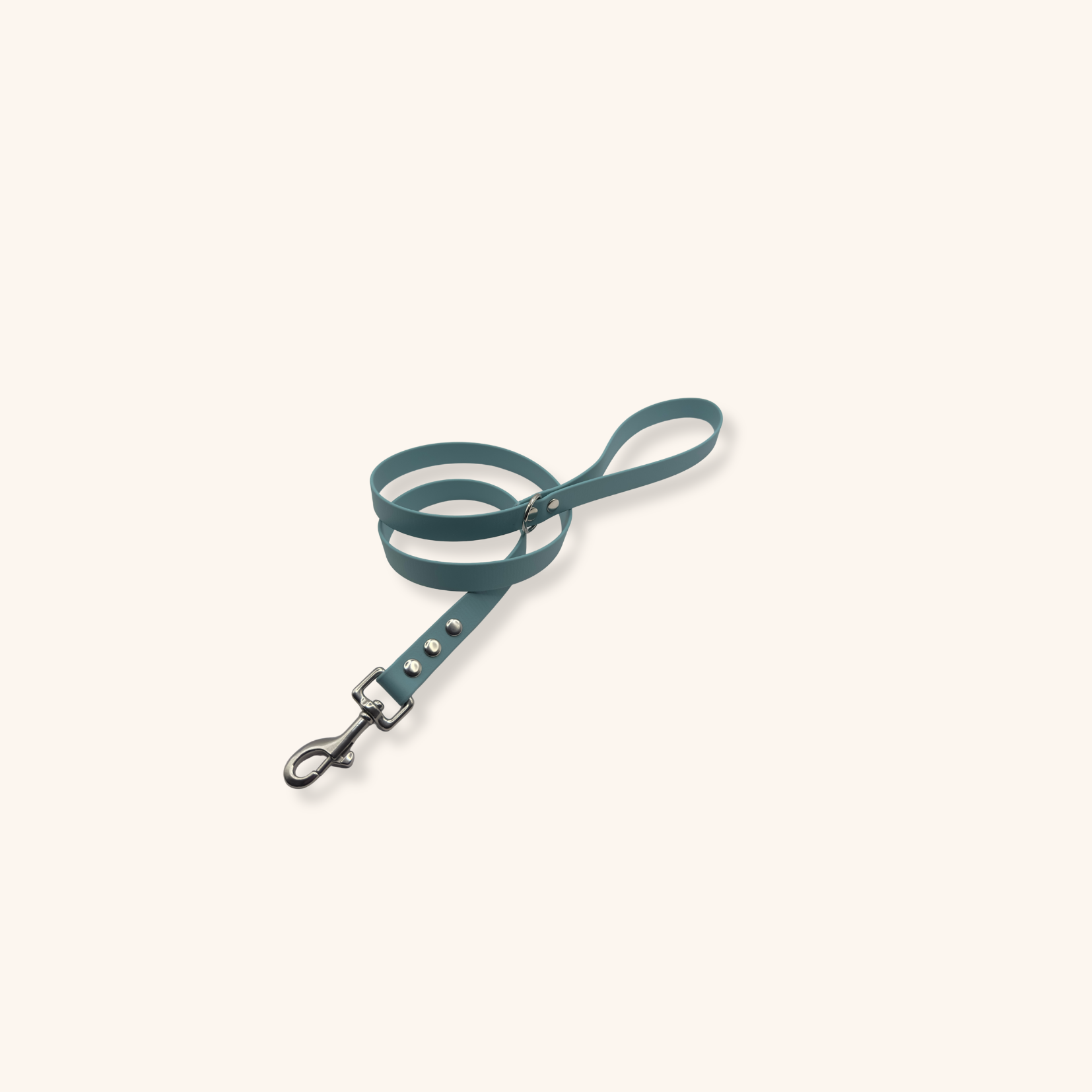 Laisse Biothane® Bleu Turquoise – Image 2
