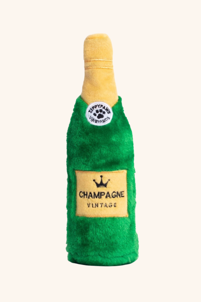 Jouet Bouteille de Champagne