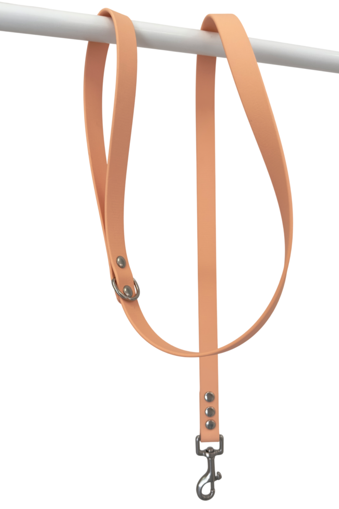Laisse Biothane®
